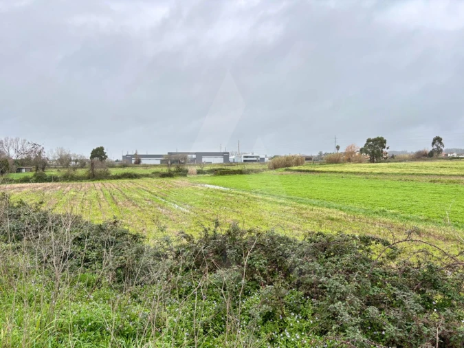 Terreno para Venda em Valega Foto 5