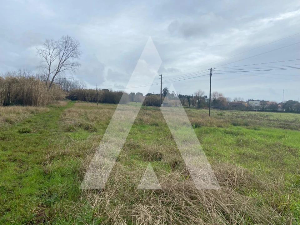 Terreno para Venda em Amoreira da Gândara, Paredes do Bairro e Ancas Foto 1
