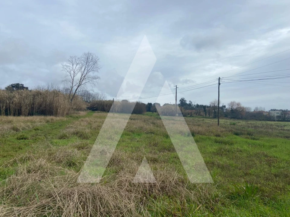 Terreno para Venda em Amoreira da Gândara, Paredes do Bairro e Ancas Foto 3