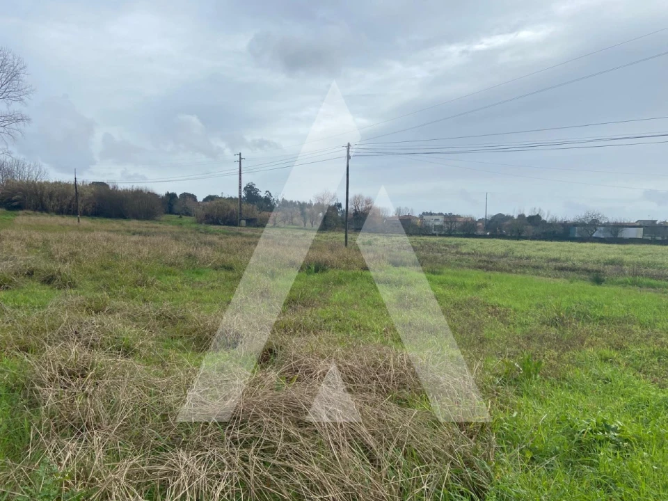 Terreno para Venda em Amoreira da Gândara, Paredes do Bairro e Ancas Foto 4