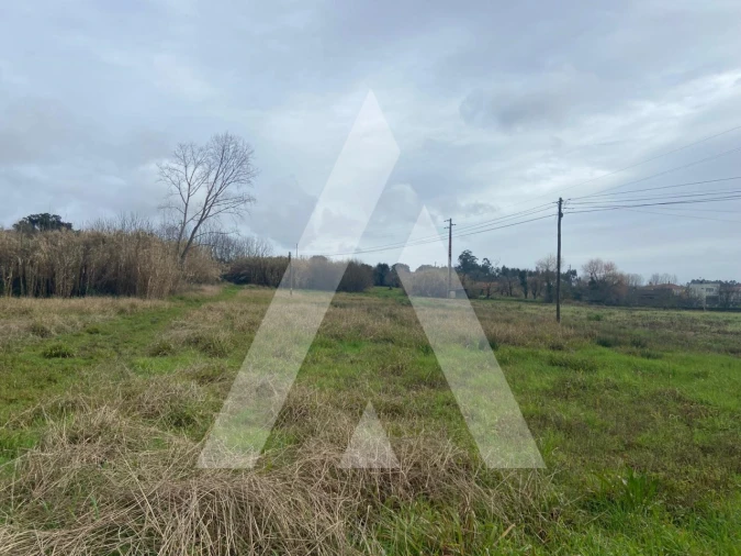 Terreno para Venda em Amoreira da Gândara, Paredes do Bairro e Ancas Foto 3