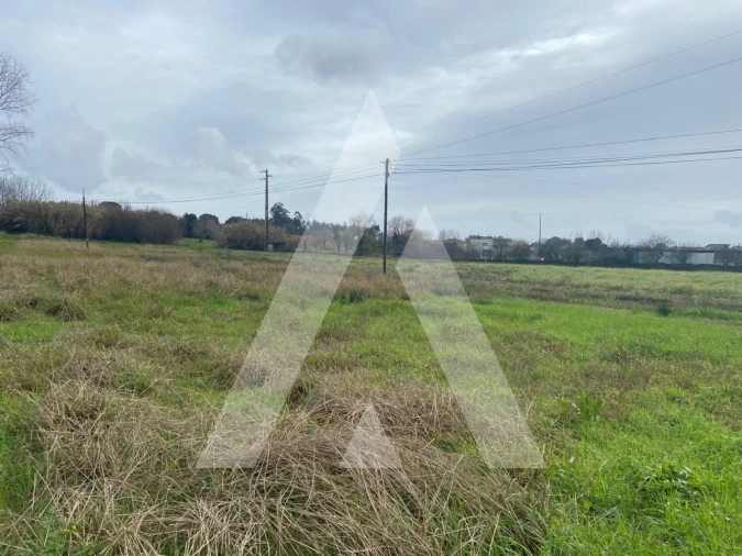Terreno para Venda em Amoreira da Gândara, Paredes do Bairro e Ancas Foto 4