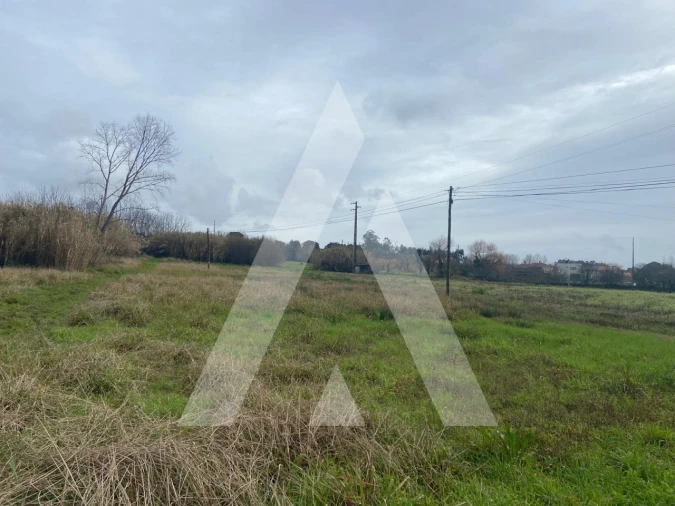 Terreno para Venda em Amoreira da Gândara, Paredes do Bairro e Ancas Foto 5
