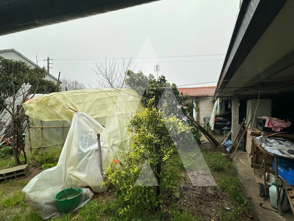 Moradia T2 para Venda em Bustos, Troviscal e Mamarrosa Foto 29