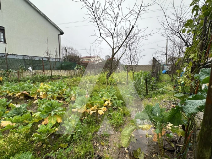 Moradia T2 para Venda em Bustos, Troviscal e Mamarrosa Foto 28