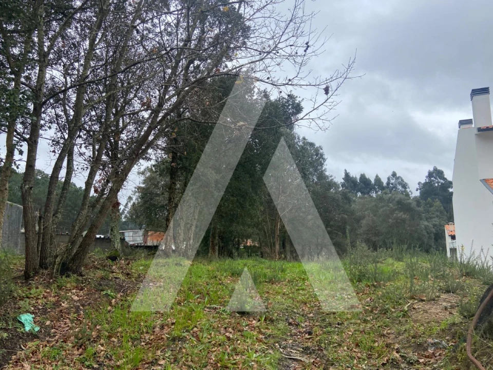 Terreno para Venda em Fermentelos Foto 2