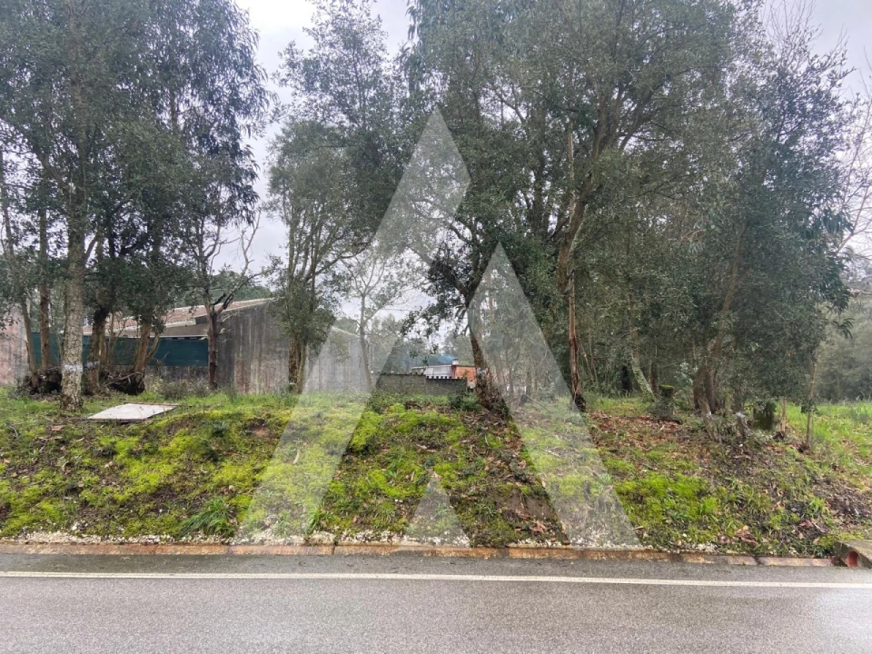 Terreno para Venda em Fermentelos Foto 6