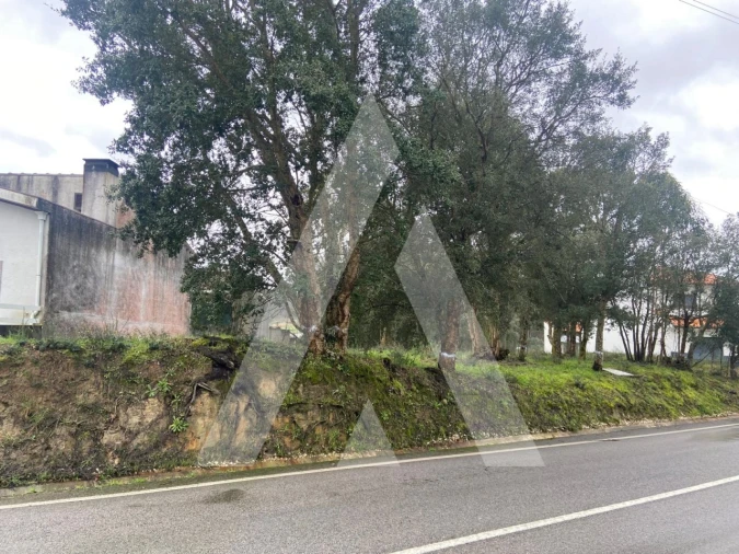 Terreno para Venda em Fermentelos Foto 8