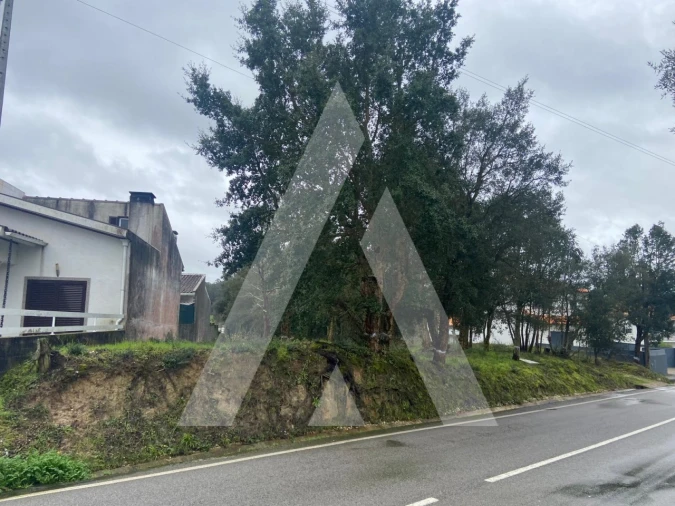 Terreno para Venda em Fermentelos Foto 12