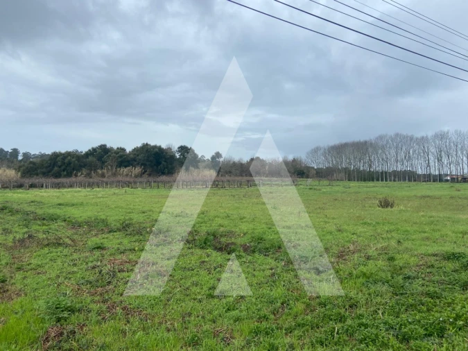 Terreno para Venda em Amoreira da Gândara, Paredes do Bairro e Ancas