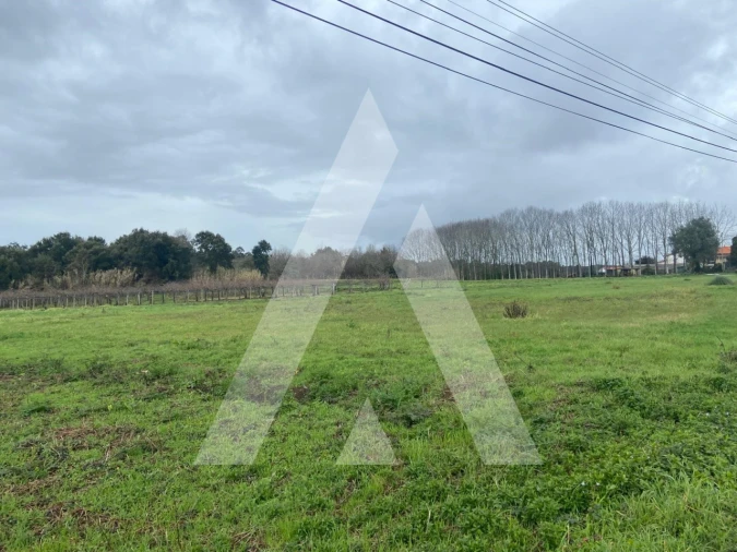 Terreno para Venda em Amoreira da Gândara, Paredes do Bairro e Ancas Foto 5