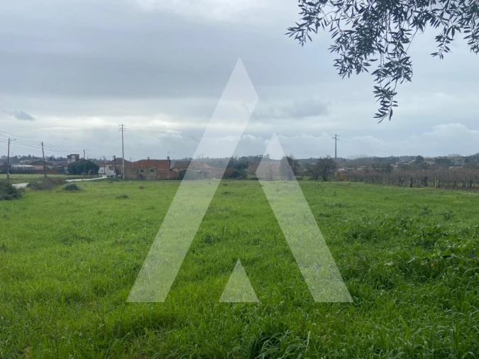 Terreno para Venda em Amoreira da Gândara, Paredes do Bairro e Ancas Foto 6