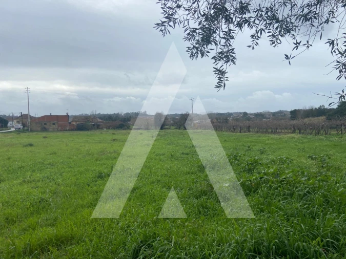 Terreno para Venda em Amoreira da Gândara, Paredes do Bairro e Ancas Foto 8