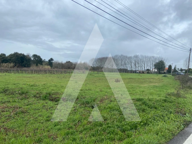 Terreno para Venda em Amoreira da Gândara, Paredes do Bairro e Ancas Foto 11