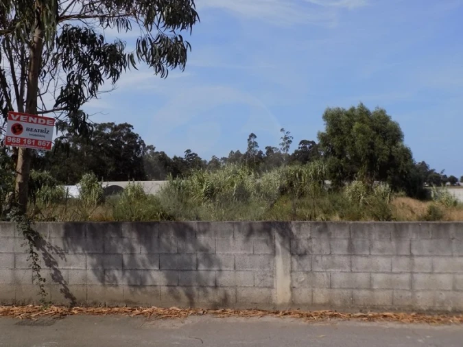 Terreno para Venda em Estela Foto 8