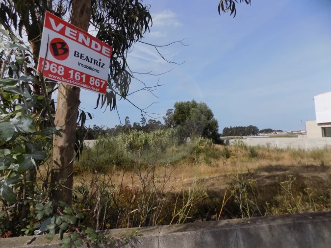 Terreno para Venda em Estela Foto 12
