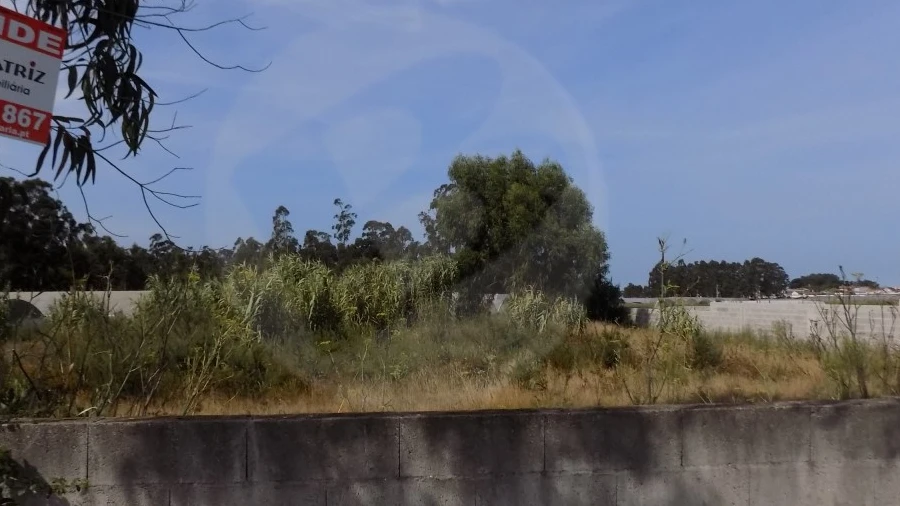Terreno para Venda em Estela