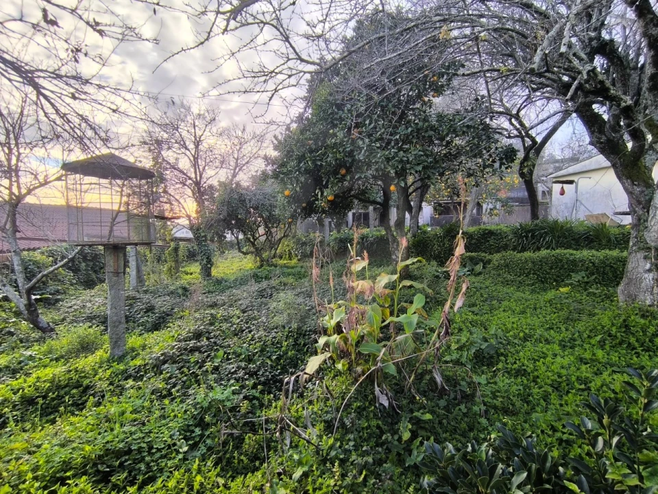 Moradia T4 para Venda em Póvoa de Varzim, Beiriz e Argivai Foto 1