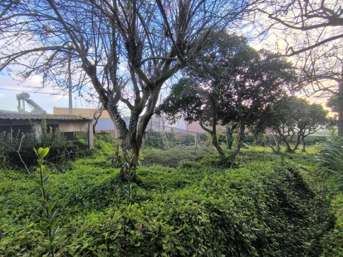 Moradia T4 para Venda em Póvoa de Varzim, Beiriz e Argivai Foto 28