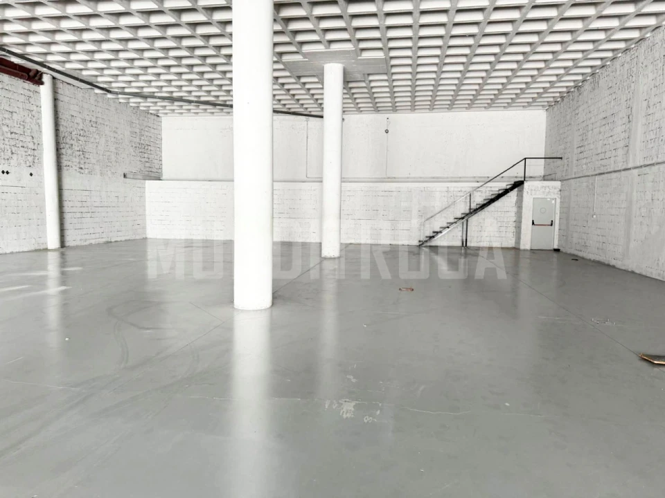 Armazém para Arrendamento em Ribeirão Foto 7