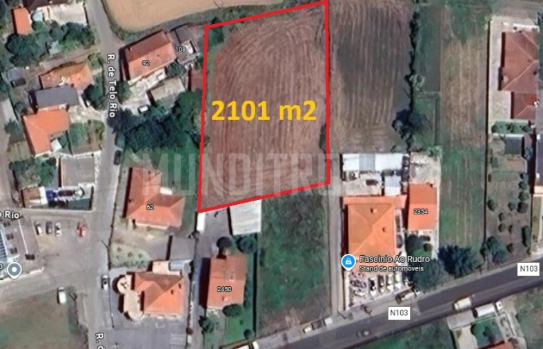 Terreno para Venda em Martim