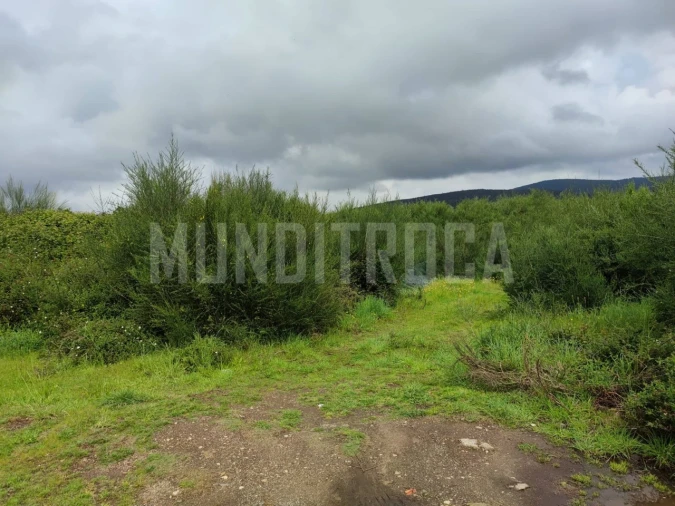 Terreno para Venda em Fragoso Foto 2