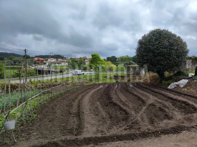 Terreno para Venda em Fragoso Foto 5