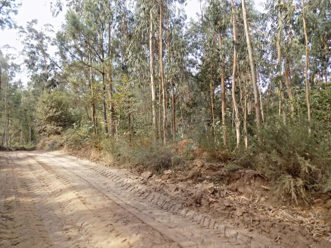 Terreno para Venda em Touguinha e Touguinhó Foto 5