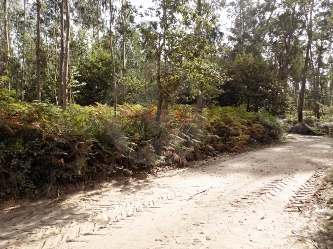 Terreno para Venda em Touguinha e Touguinhó Foto 11