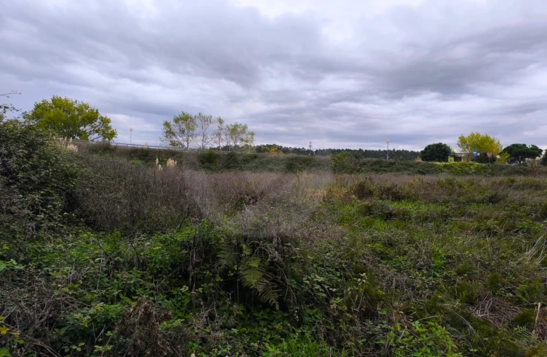 Terreno para Venda em Póvoa de Varzim, Beiriz e Argivai Foto 22