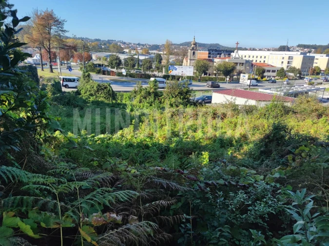 Terreno para Arrendamento em Celeirós, Aveleda e Vimieiro Foto 3