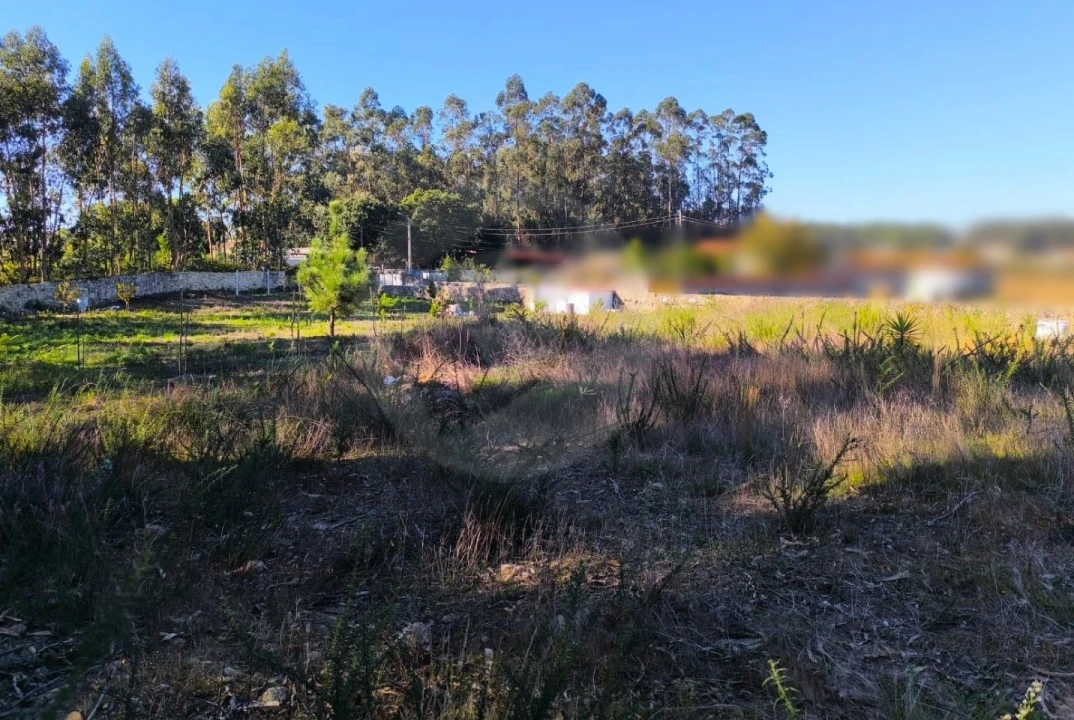 Terreno para Venda em Póvoa de Varzim, Beiriz e Argivai Foto 4