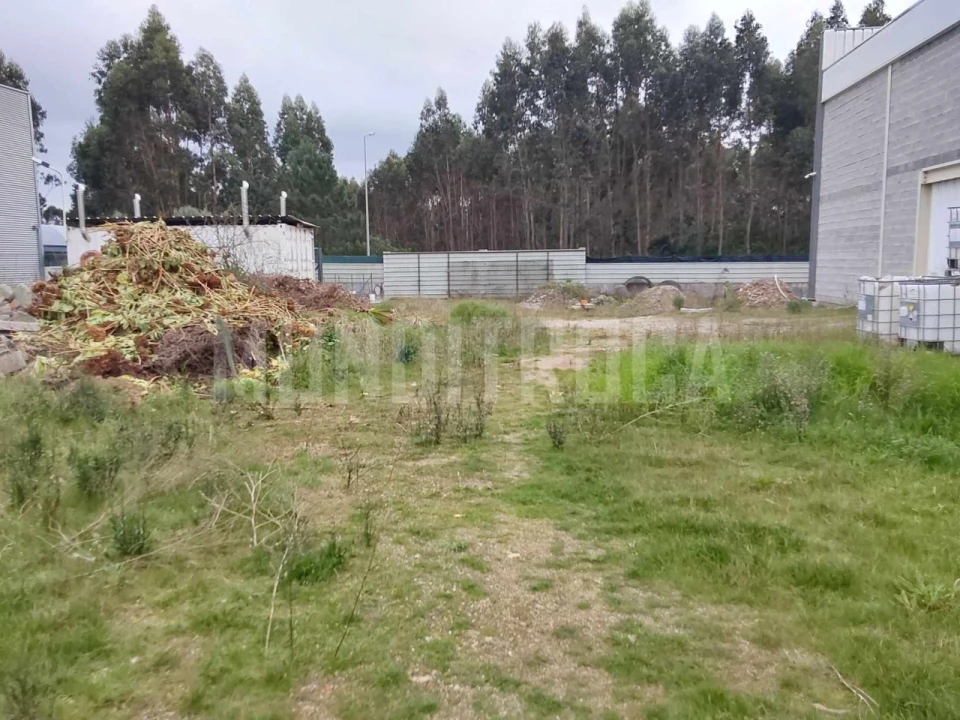Armazém para Venda em Esposende, Marinhas e Gandra Foto 3