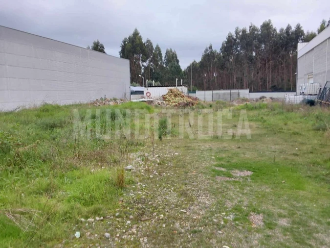Armazém para Venda em Esposende, Marinhas e Gandra Foto 14