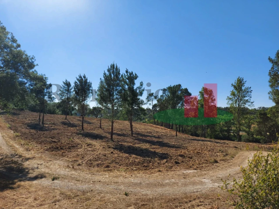 Terreno para Venda em Assentiz Foto 1