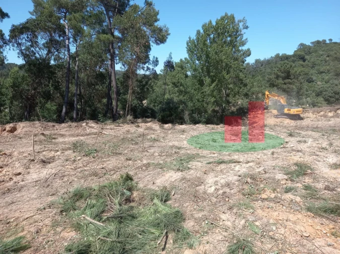 Terreno para Venda em Assentiz Foto 2