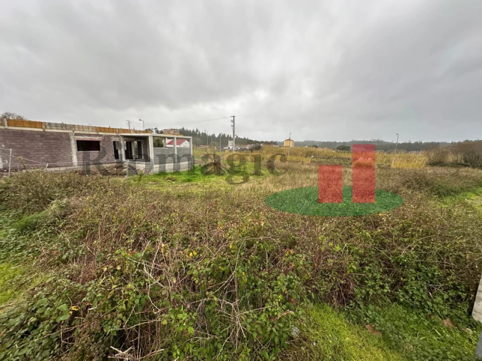 Terreno para Venda em Tornada e Salir do Porto Foto 11