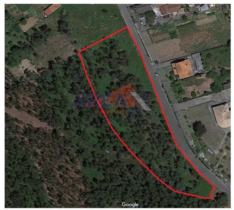 Terreno Agricola ou Rústico para Venda em Branca Foto 1