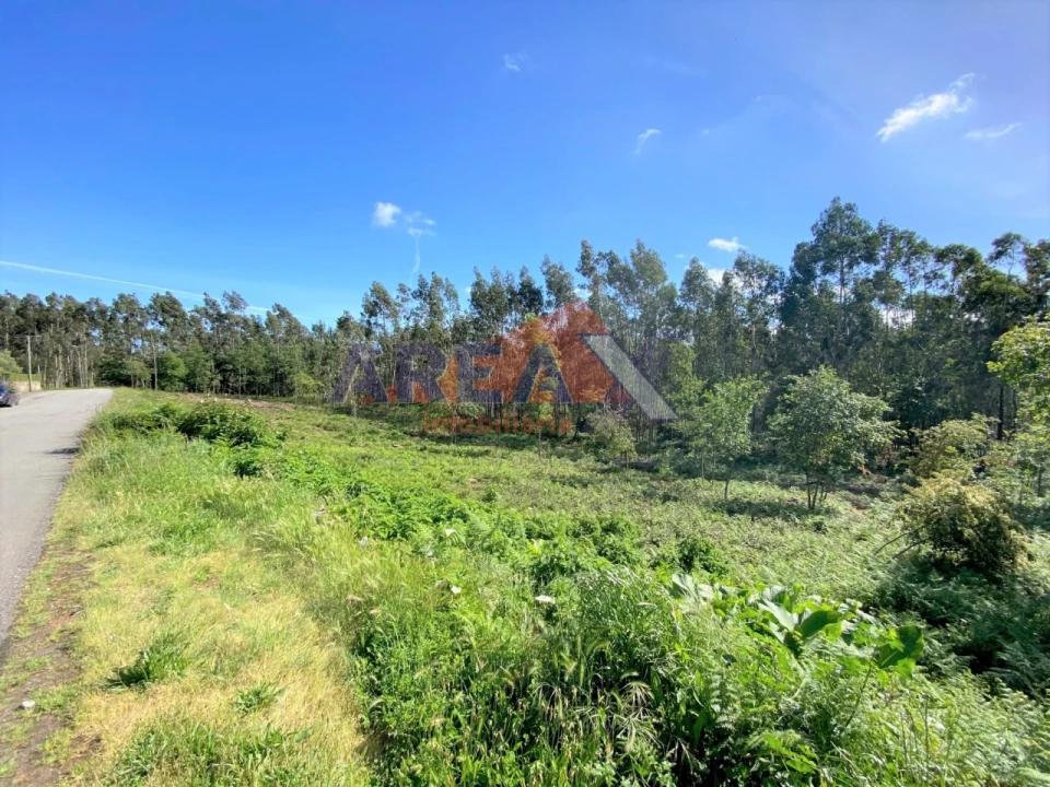 Terreno Agricola ou Rústico para Venda em Branca Foto 3