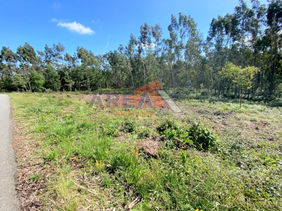 Terreno Agricola ou Rústico para Venda em Branca Foto 4