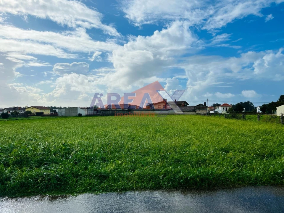 Terreno para Venda em Loureiro Foto 1