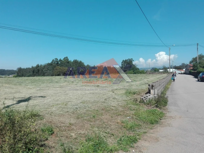Terreno Misto para Venda em Loureiro Foto 2