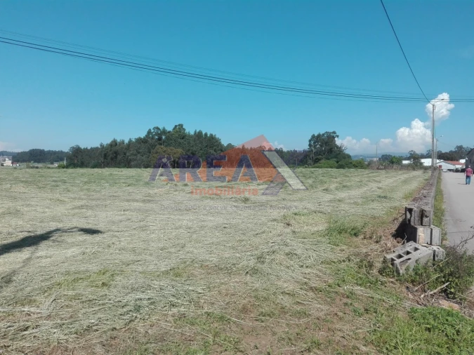 Terreno Misto para Venda em Loureiro Foto 4