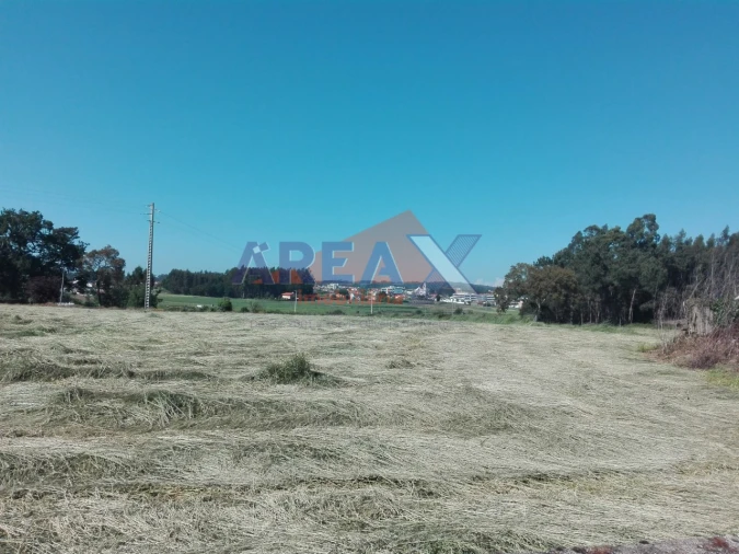 Terreno Misto para Venda em Loureiro Foto 5