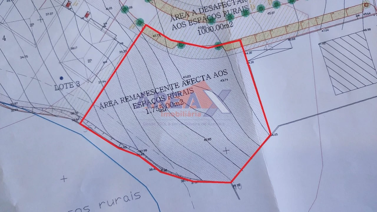 Terreno para Venda em Pinheiro da Bemposta, Travanca e Palmaz Foto 2