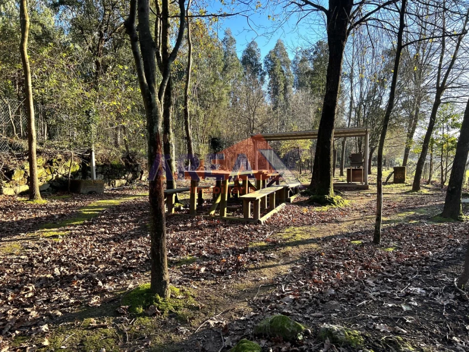 Terreno para Venda em O. Azeméis, Riba-Ul, Ul, Macinhata Seixa, Madail Foto 8