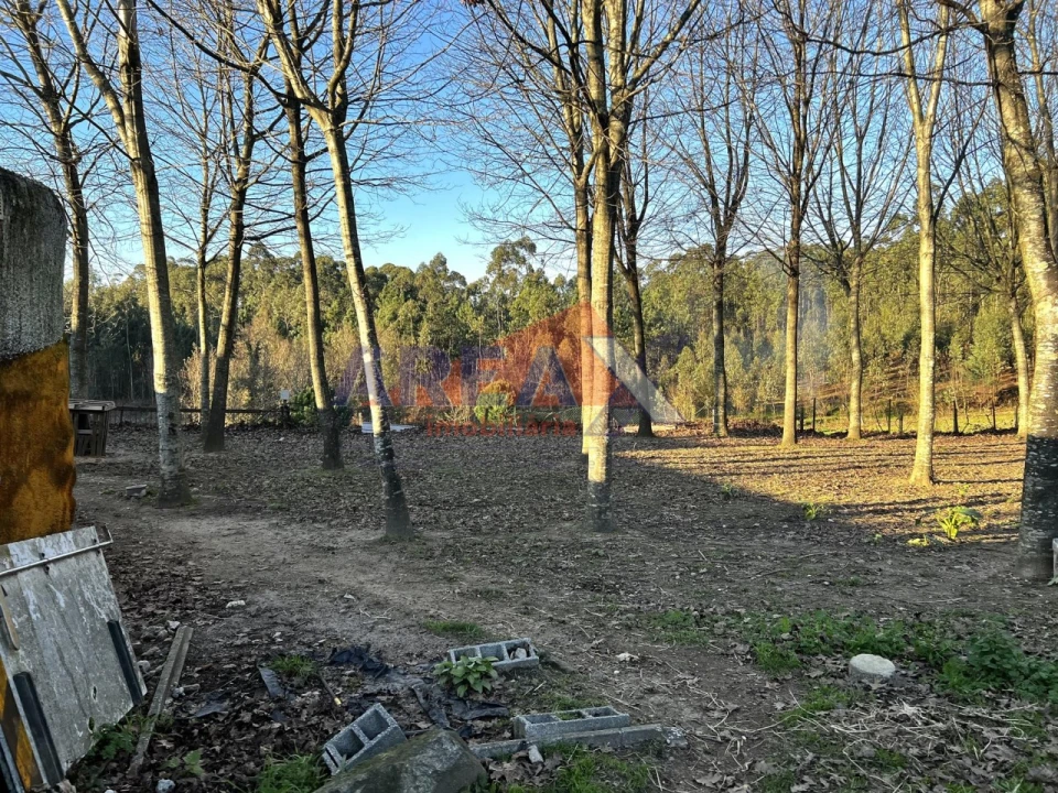 Terreno para Venda em O. Azeméis, Riba-Ul, Ul, Macinhata Seixa, Madail Foto 15