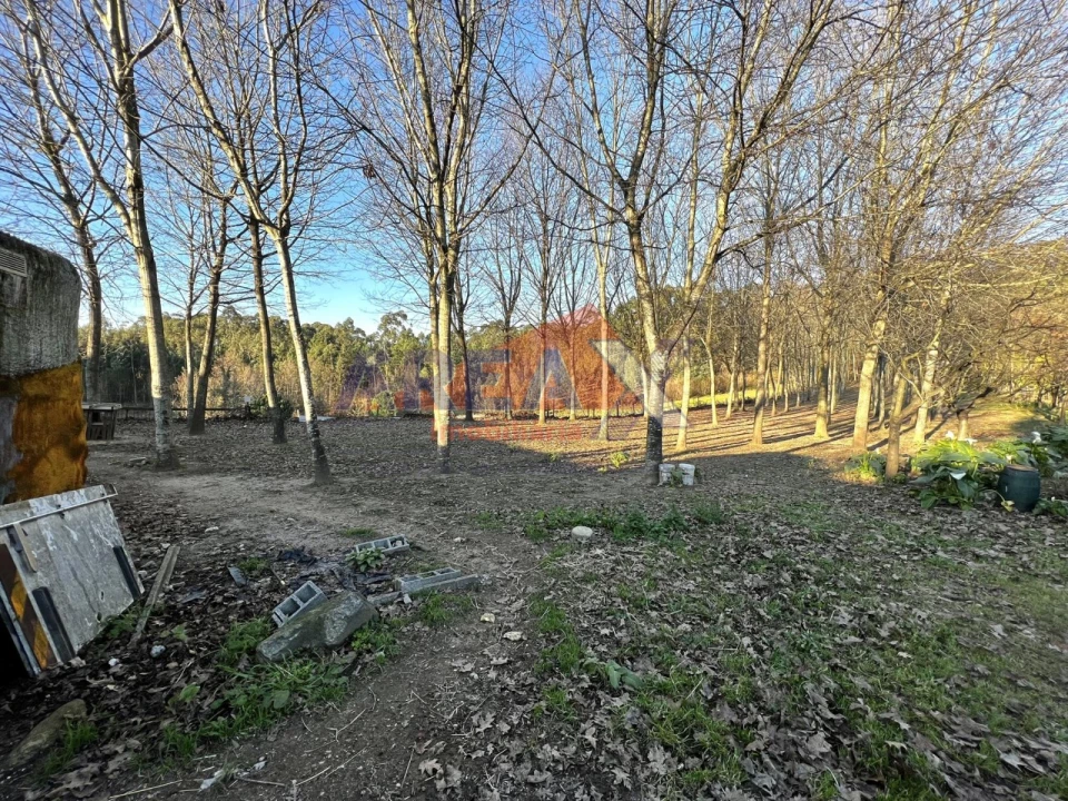Terreno para Venda em O. Azeméis, Riba-Ul, Ul, Macinhata Seixa, Madail Foto 18