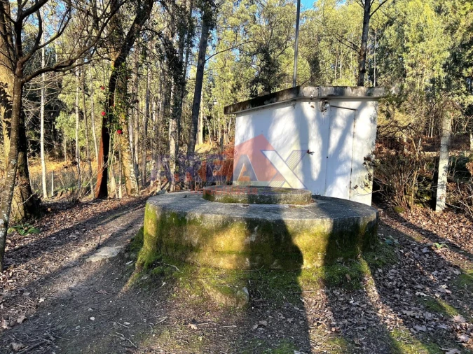 Terreno para Venda em O. Azeméis, Riba-Ul, Ul, Macinhata Seixa, Madail Foto 7