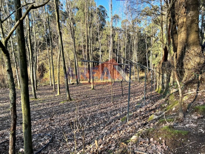Terreno para Venda em O. Azeméis, Riba-Ul, Ul, Macinhata Seixa, Madail Foto 10